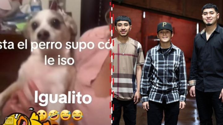 Yahritza y su Esencia: Este perrito se vuelve viral al imitar su cara de "fuchi"