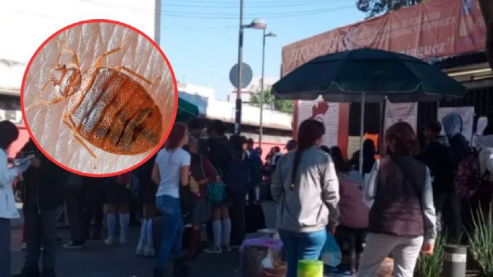 ¿Chinches? Alumnos del CETIS 9 protestan por plaga de estos insectos en el plantel