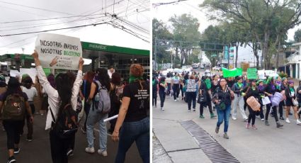 A 2 años de despenalización, Secretaría de Salud no garantiza ILE en Veracruz