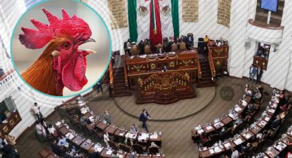 Galleros y maltratadores aliados de Morena en el Congreso CDMX