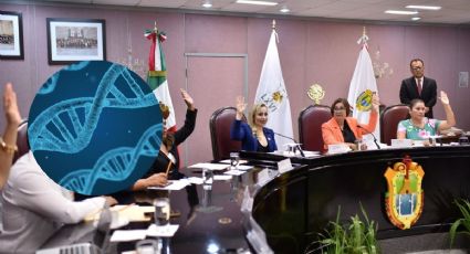 Insisten en Congreso de Veracruz creación sobre Registro de Enfermedades Raras