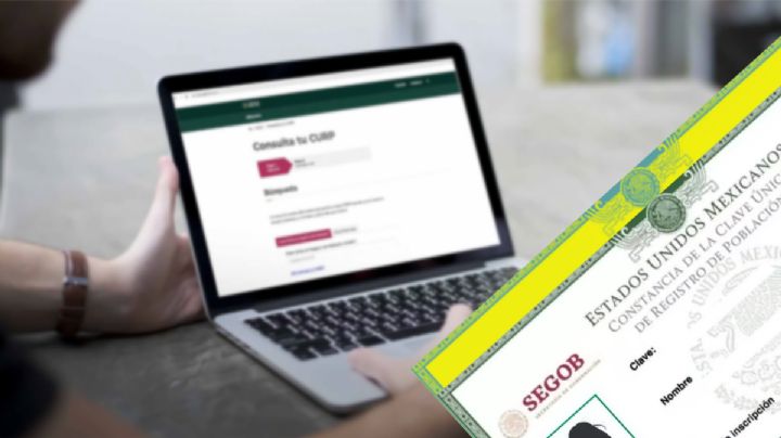 CURP con foto: así sería la nueva identificación oficial que igual llega a Hidalgo