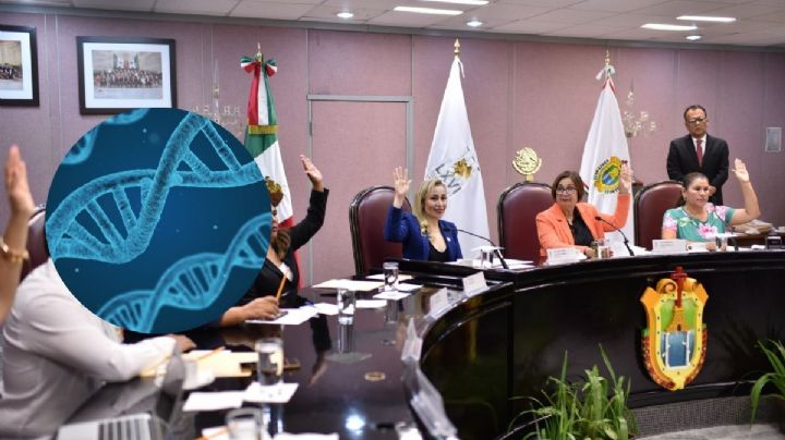 Insisten en Congreso de Veracruz creación sobre Registro de Enfermedades Raras