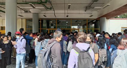 "Hoy amanecí con unas mordeduras": alumno ante cierre de Facultad de Química por chinches
