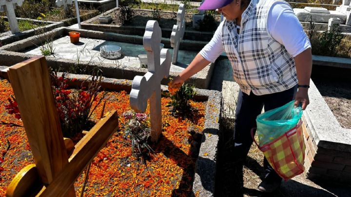 Flor de cempasúchil: viste a los panteones y permite reconectar con los ancestros