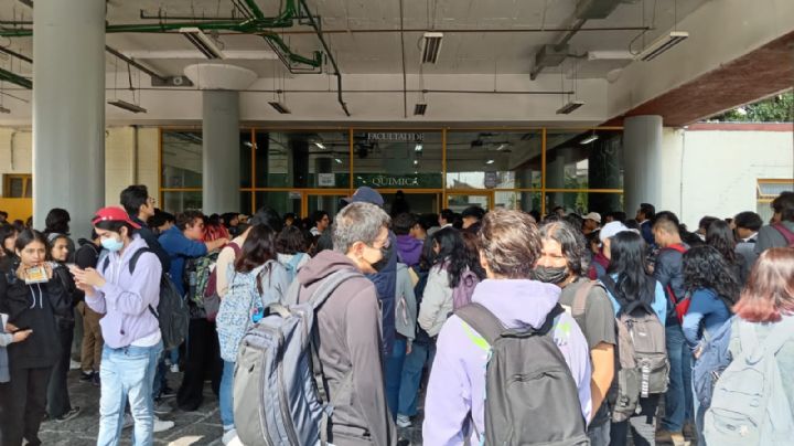 "Hoy amanecí con unas mordeduras": alumno ante cierre de Facultad de Química por chinches