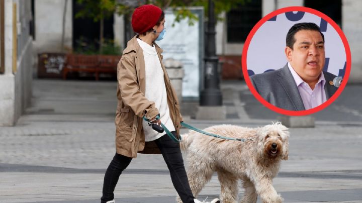 Así buscan proteger a animales de compañía en Hidalgo