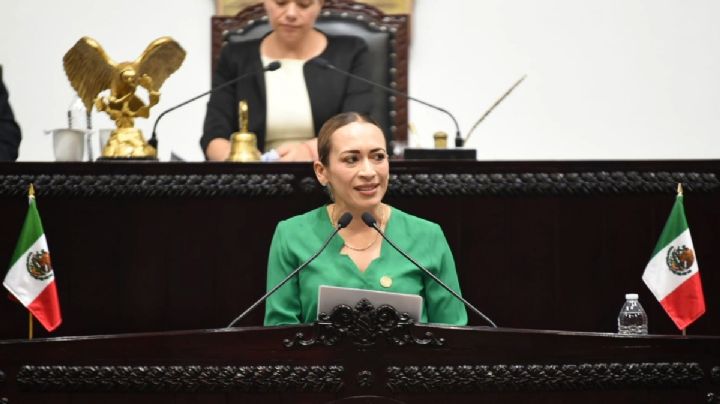 Diputada del PT se deslinda de Grupo Universidad, denuncia amenazas