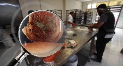 Aguas con esta panadería en Pachuca; niño comía concha con moho | FOTO