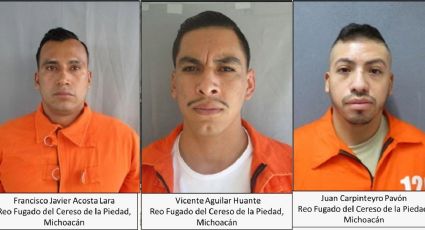 Buscan en Guanajuato a presos fugados en La Piedad