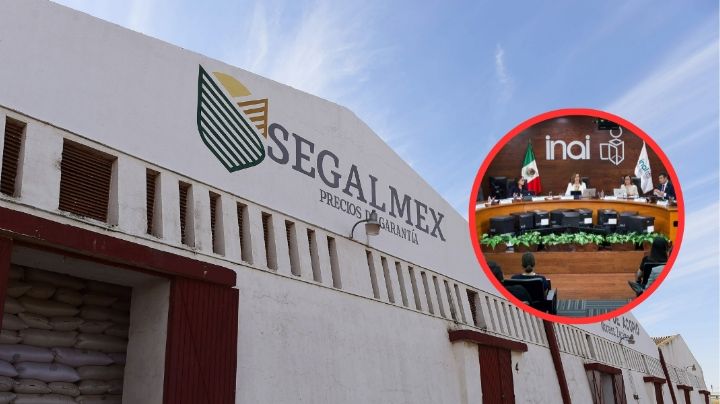 INAI exige a Segalmex revelar detalles sobre denuncias internas de corrupción
