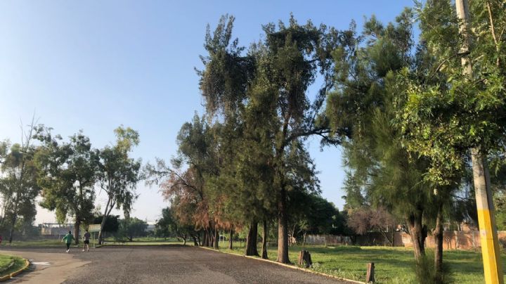 Le quitan un cachote a la deportiva de San Miguel para ser parada de camión