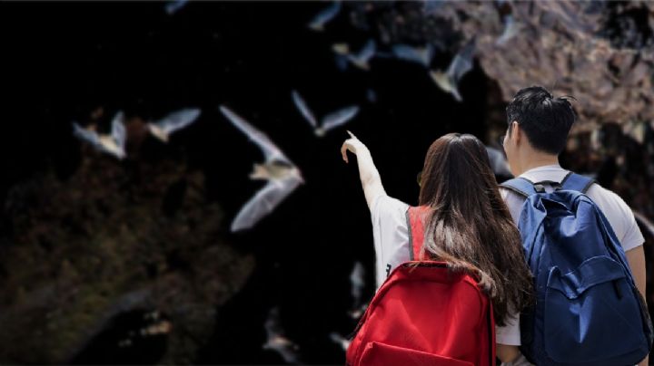 Visita la Cueva de los Murciélagos en Hidalgo que alberga millones de animales
