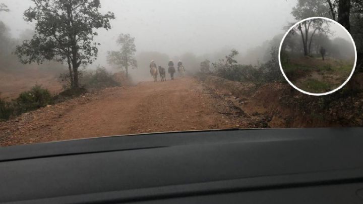 Neblina y frío envuelven Guanajuato el 1 de enero