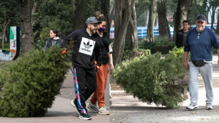 ¡No tires tu árbol de navidad!, mejor llévalo a reciclar y recibe regalos