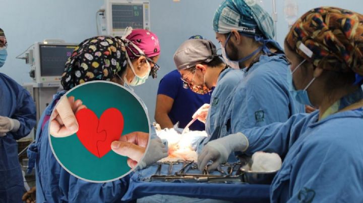 Realizan la primera donación múltiple de órganos de 2024 en Veracruz