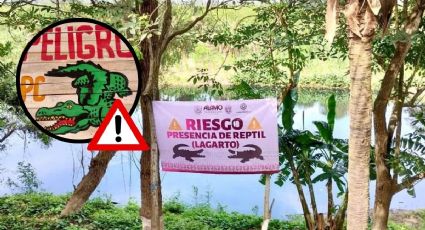 Autoridades alertan por lagarto en río de Álamo Temapache, al norte de Veracruz