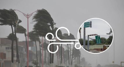 ¿Cómo estará el clima en Veracruz por norte explosivo este viernes 12 de enero?