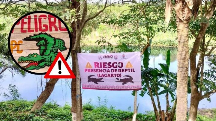 Autoridades alertan por lagarto en río de Álamo Temapache, al norte de Veracruz