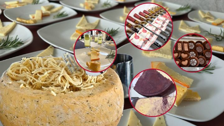 Nueva ruta del queso en Hidalgo para deleitar el paladar; conoce los detalles I Fotos