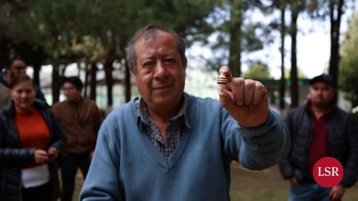 En Edomex, crean artesanías y composta con árboles de navidad reciclados