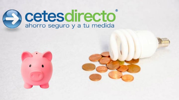 Cetes: Así puedes ahorrar 20,000 pesos durante el 2024