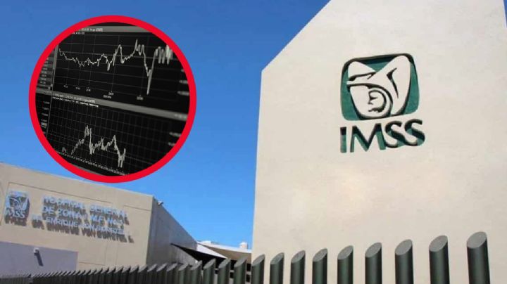 IMSS: ¿Ya tienes más de 800 semanas cotizadas?