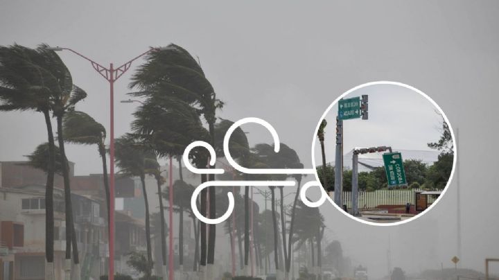 ¿Cómo estará el clima en Veracruz por norte explosivo este viernes 12 de enero?
