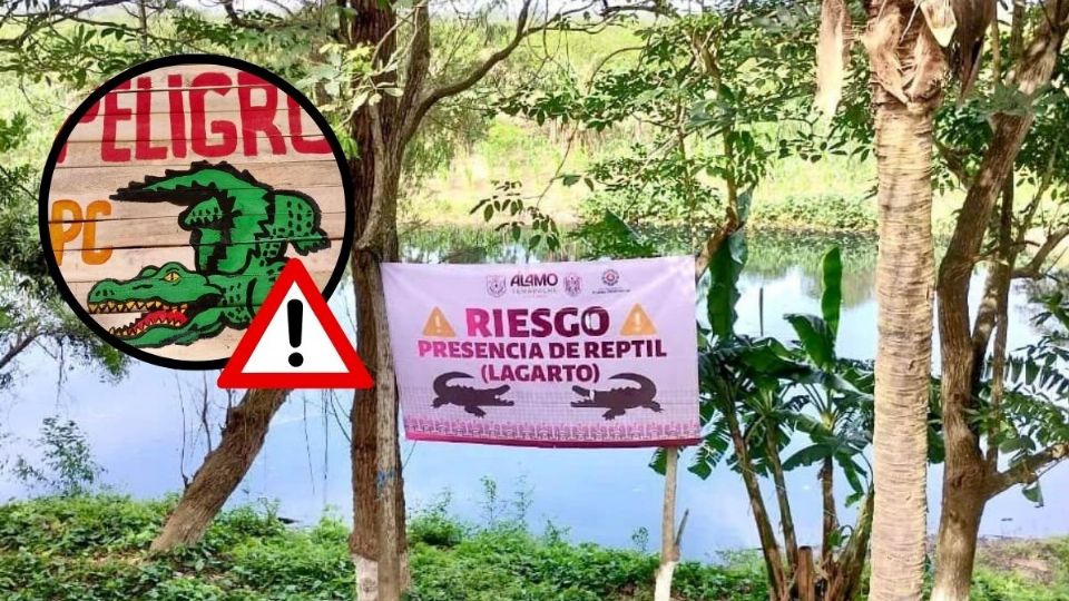 En Álamo Temapache, alertan por lagarto en río Pantepec