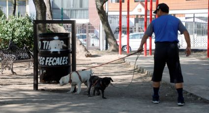 Parque para perros en Naucalpan beneficiará a cientos de colonos