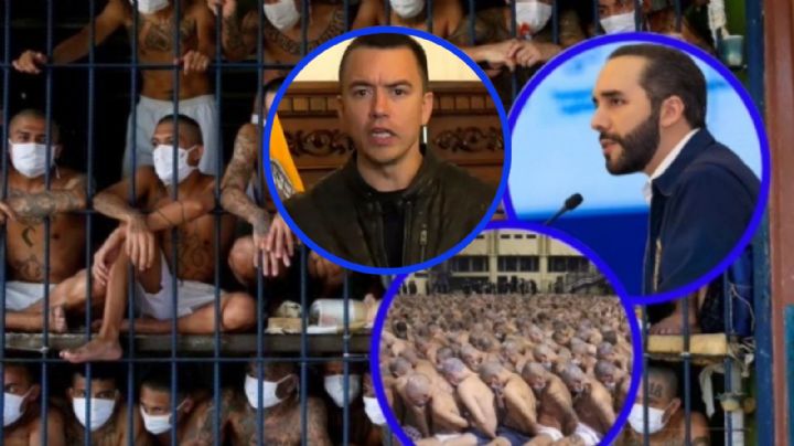 Cárceles “modelo Bukele”, el modelo a seguir de Daniel Noboa en Ecuador