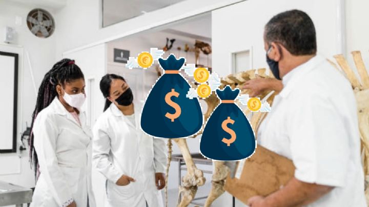 Estas son las carreras que te permitirían encontrar más rápido trabajo en México