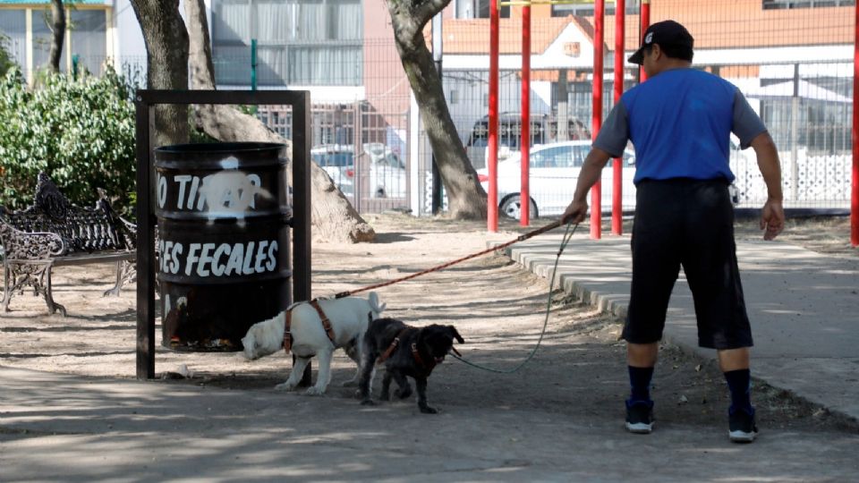 Parque para perro en Naucalpan beneficiará a cientos de colonos
