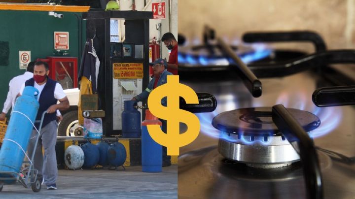 ¿Cuánto costará el gas LP en Veracruz del 14 al 20 de enero del 2024?