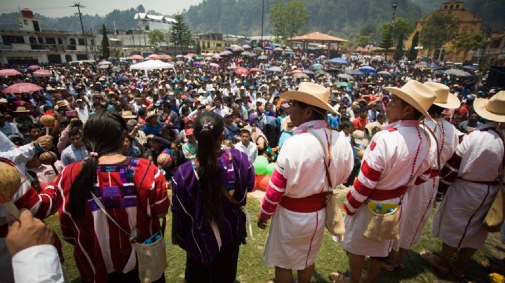 ¿Quién era Carmen López Lugo, activista indígena asesinado en Chiapas?