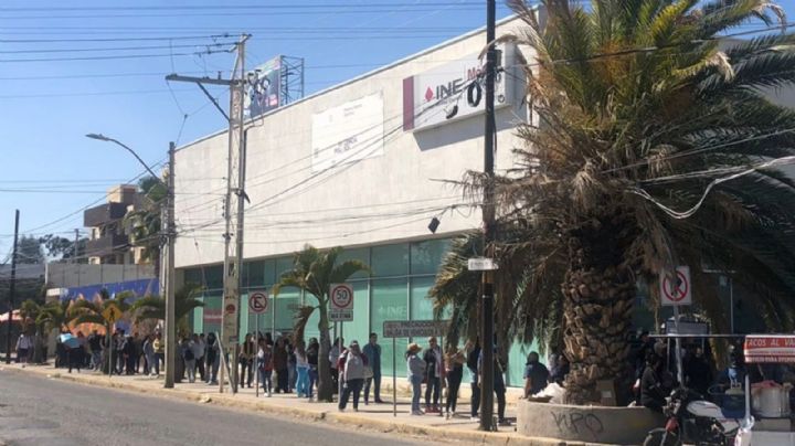 Quieren sacar la credencial para votar a última hora, hacen largas filas en el INE