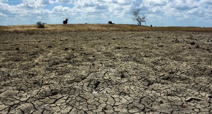 Jalisco, Guanajuato, Zacatecas y Tamaulipas: Claves de la sequía que azota al Bajío