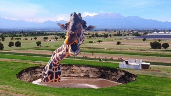 MEMES | Puebla sonríe: así le dan la bienvenida a la jirafa Benito