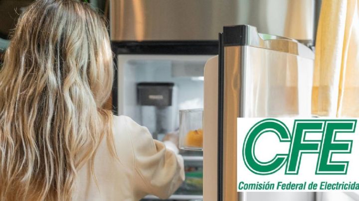 Guanajuato: Así puedes tener un nuevo refrigerador con la CFE