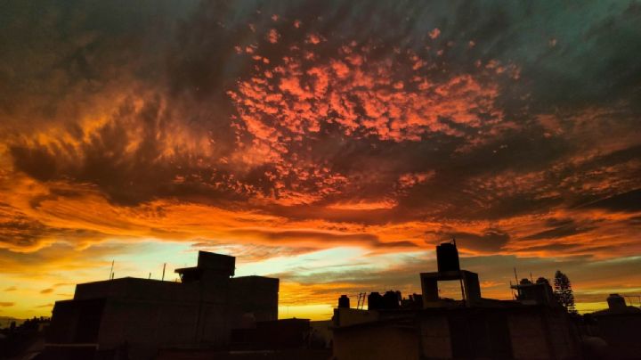 CLIMA para este lunes 22 de enero: ¿En qué estados lloverá?