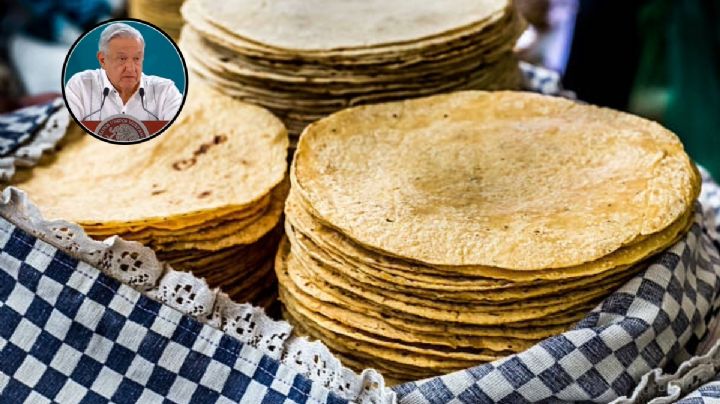 ¿Por qué no subirá el precio de la tortilla según AMLO?