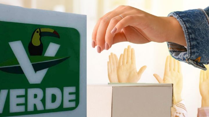 Aún nada definido, responde Partido Verde sobre candidaturas 2024 en Hidalgo