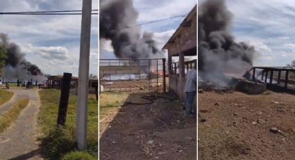 Se desploma avioneta en Xalisco, Nayarit; reportan 4 muertos | VIDEO