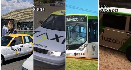 Llevan a videojuegos los taxis, Tuzobús, Garzabús y patrullas de Pachuca | VIDEO
