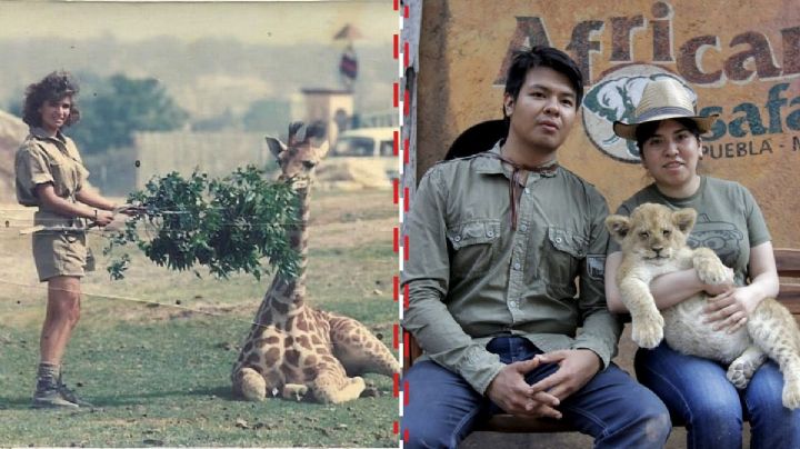 Así lucía Africam Safari, que además de Benito ha rescatado elefantes y águilas reales