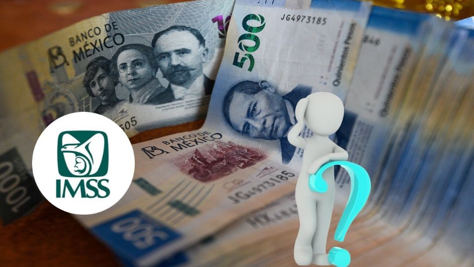 A muchos pensionados del IMSS no les alcanza con su pensión y necesitan recurrir a las tarjetas de crédito o préstamos.