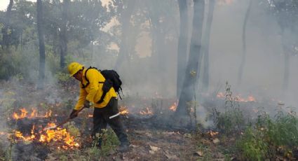 Protegen bosques de Hidalgo, así proponen castigar a quienes provoquen incendios