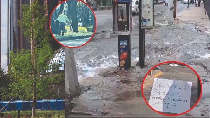 Batres presume "Ahuehuete verde" entre protestas, fugas de agua y riego desmedido