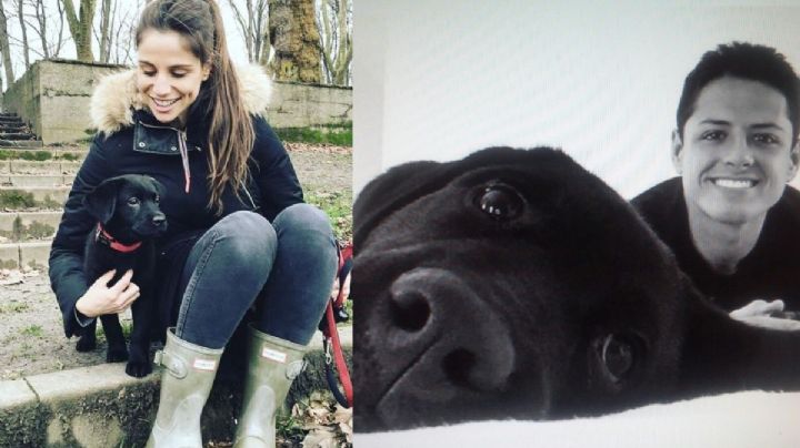 ¿Qué pasó con el perro que tenían Chicharito Hernández y Lucía Villalón? | FOTOS