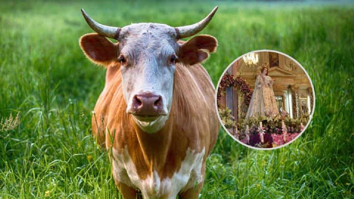 Fiestas de la Candelaria: Esta es la multa por maltratar a los toros en Tlacotalpan